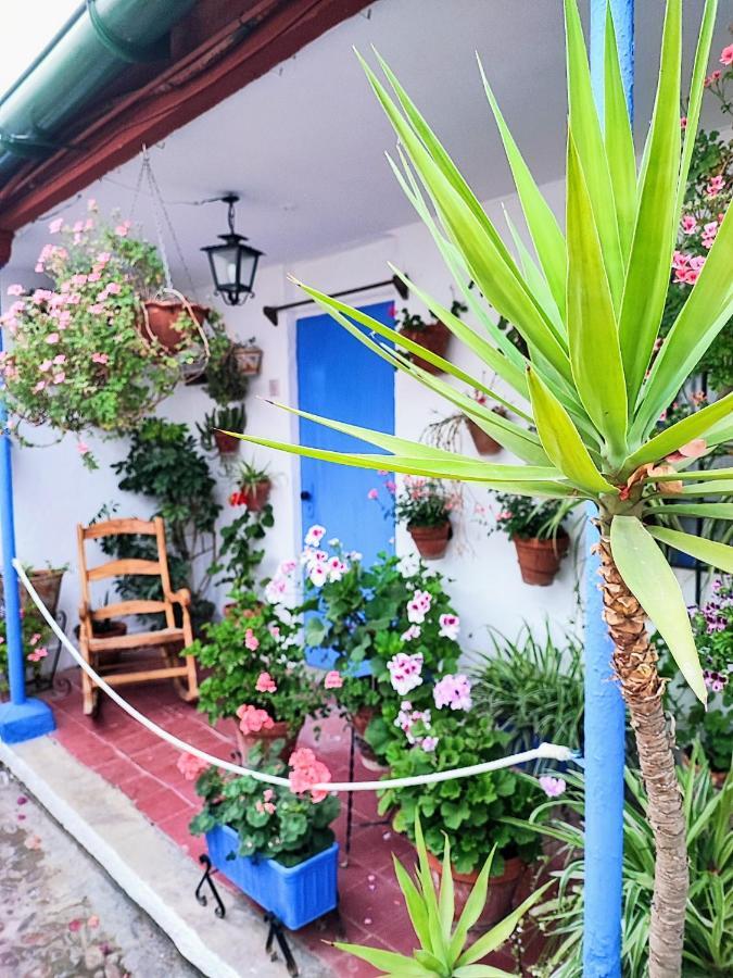 Apartamento Alcazar San Basilio Córdoba Exterior foto