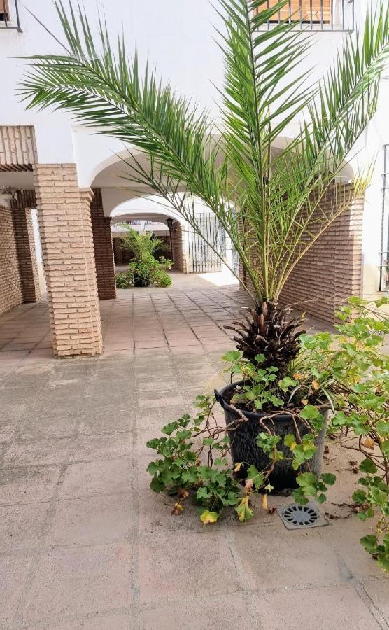Apartamento Alcazar San Basilio Córdoba Exterior foto